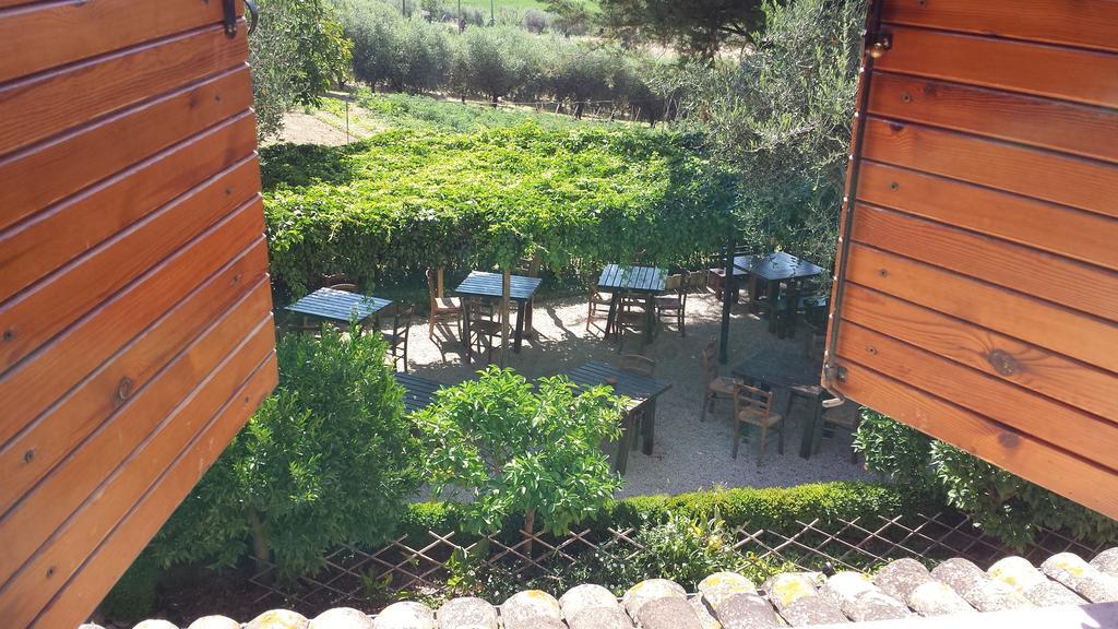 Agriturismo Col Morino Bed and Breakfast Pineto Værelse billede