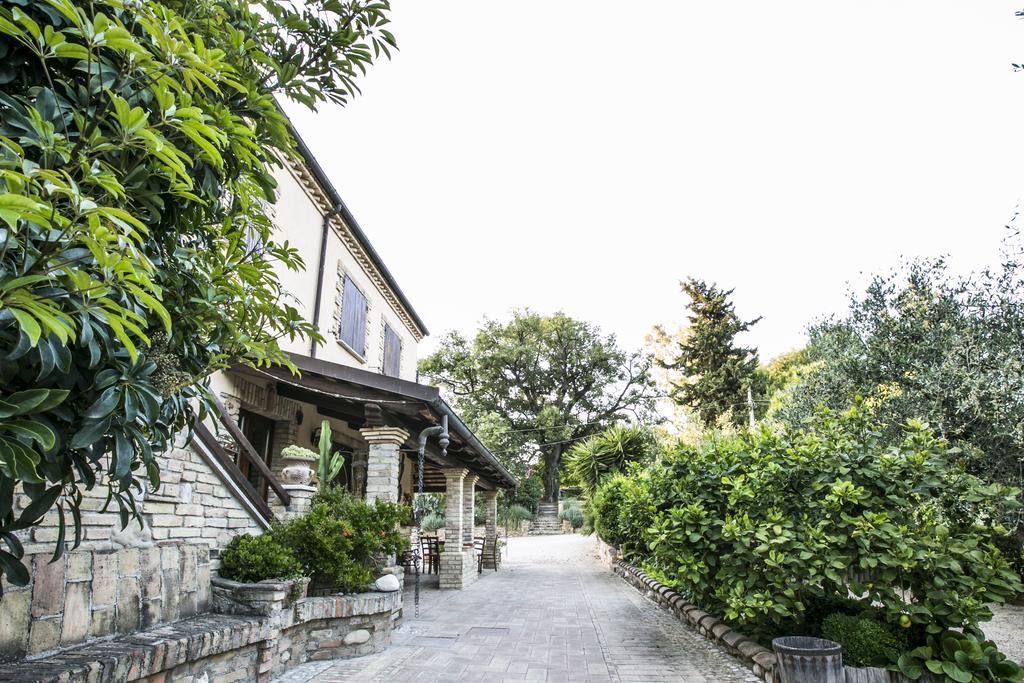 Agriturismo Col Morino Bed and Breakfast Pineto Eksteriør billede